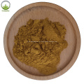 Extrato de pó de Ashwagandha 100% natural Withanolides